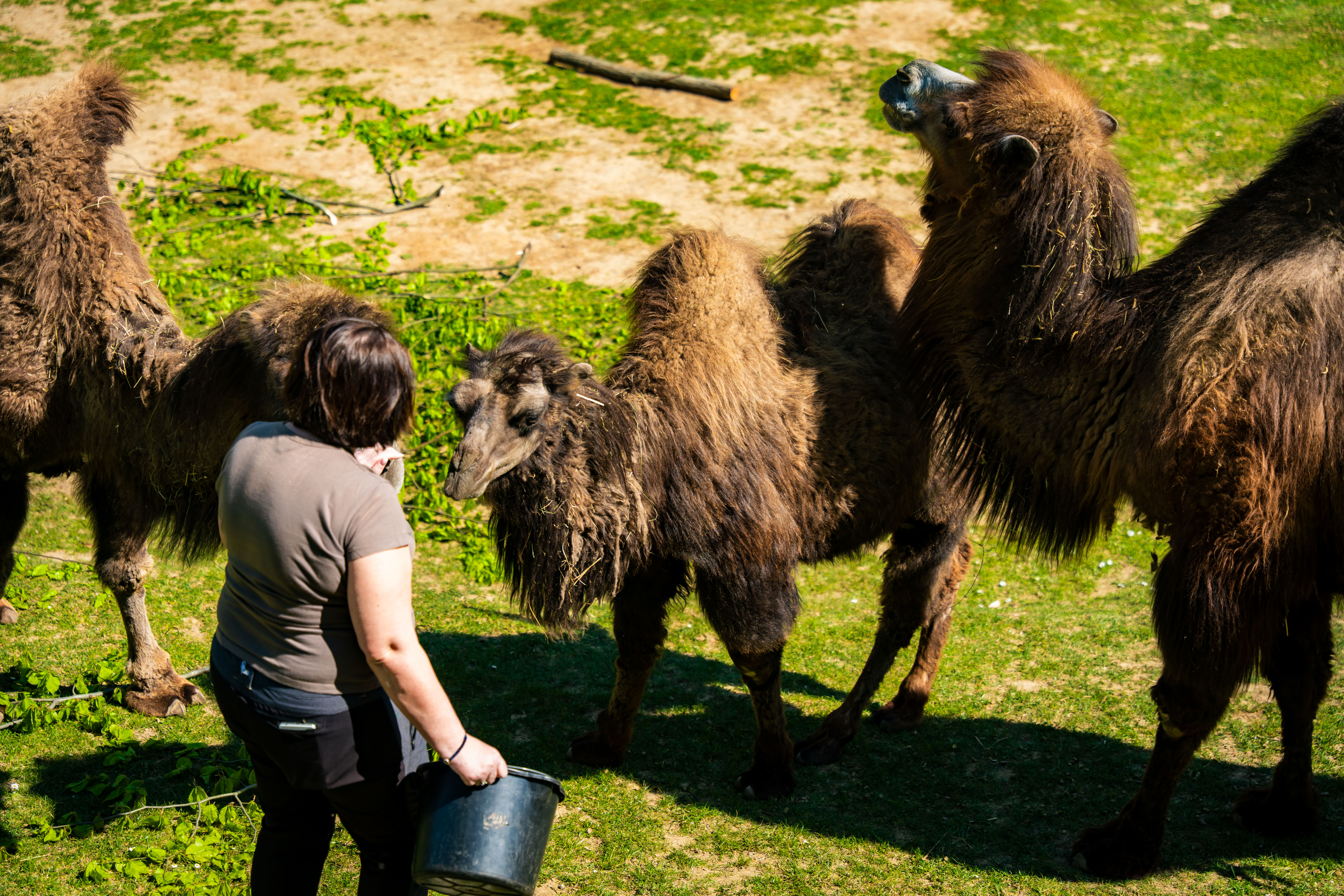 Den Zeme v Kosickej ZOO-1-26